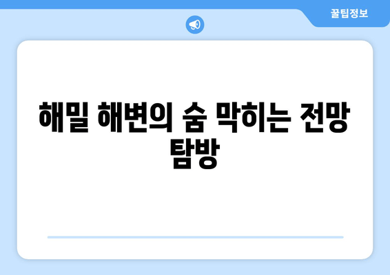 해밀 해변의 숨 막히는 전망 탐방