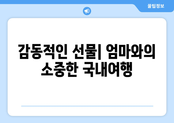 감동적인 선물| 엄마와의 소중한 국내여행