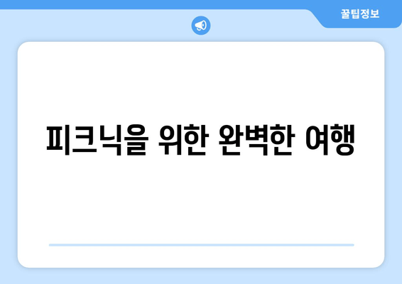 피크닉을 위한 완벽한 여행