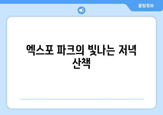 엑스포 파크의 빛나는 저녁 산책