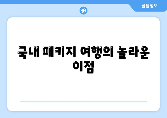 국내 패키지 여행의 놀라운 이점