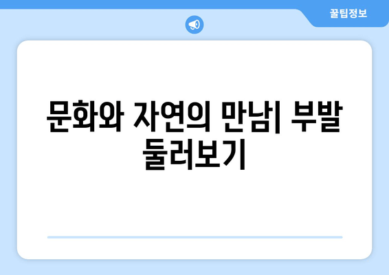 문화와 자연의 만남| 부발 둘러보기