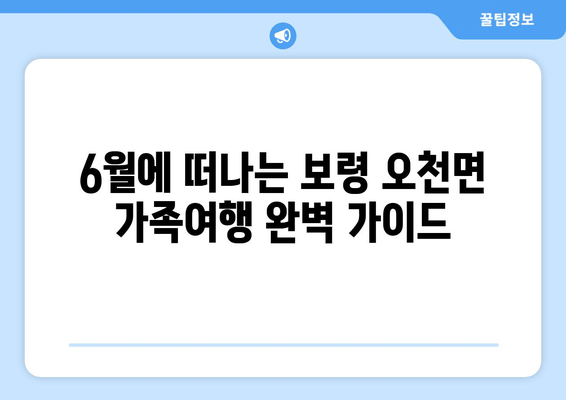 6월에 떠나는 보령 오천면 가족여행 완벽 가이드