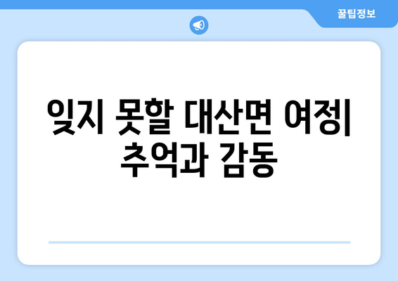 잊지 못할 대산면 여정| 추억과 감동