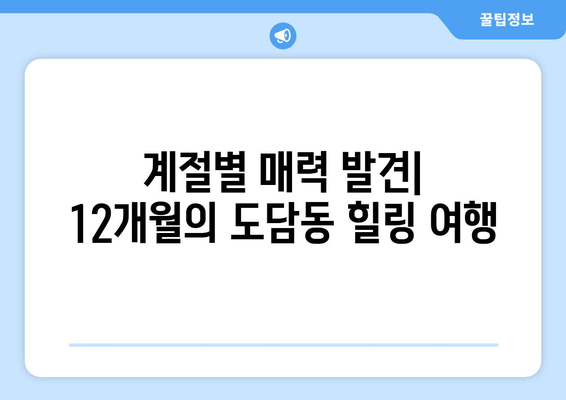 계절별 매력 발견| 12개월의 도담동 힐링 여행