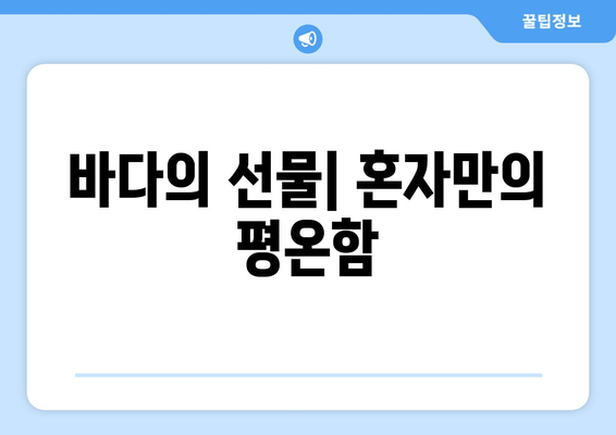 바다의 선물| 혼자만의 평온함