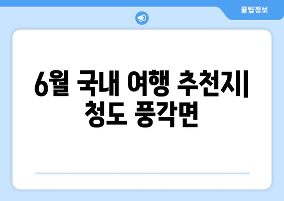 6월 국내 여행 추천지| 청도 풍각면