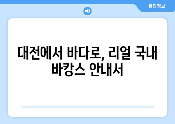 대전에서 바다로, 리얼 국내 바캉스 안내서