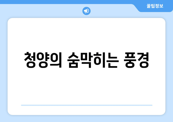 청양의 숨막히는 풍경