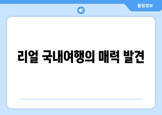 리얼 국내여행의 매력 발견