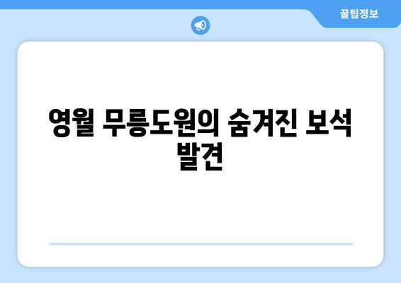 영월 무릉도원의 숨겨진 보석 발견