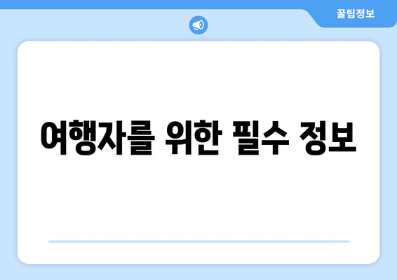 여행자를 위한 필수 정보