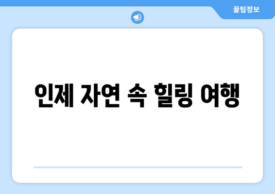 인제 자연 속 힐링 여행