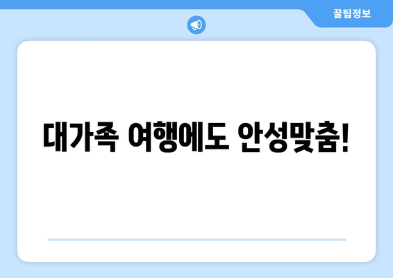 대가족 여행에도 안성맞춤!