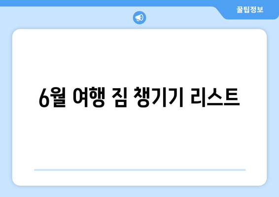 6월 여행 짐 챙기기 리스트