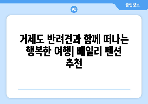 거제도 반려견과 함께 떠나는 행복한 여행| 베일리 펜션 애견 숙소 추천 | 거제도 애견 동반 여행, 펜션, 숙소, 추천, 가이드