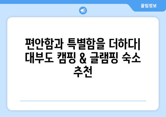 대부도 캠핑 & 글램핑| 자연 속 힐링, 편안함과 특별함을 더하다 | 추천 숙소 & 즐길 거리