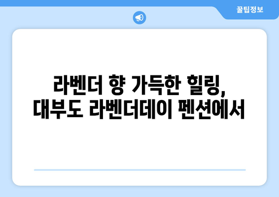 대부도 라벤더 향 가득한 힐링! 야생 라벤더 펜션 추천 | 라벤더데이, 대부도 펜션, 숙소, 여행