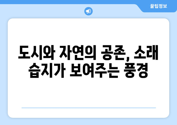 소래 습지생태공원| 개발과 보존, 빛과 그림자의 공존 | 생태, 환경, 개발, 갈등, 미래