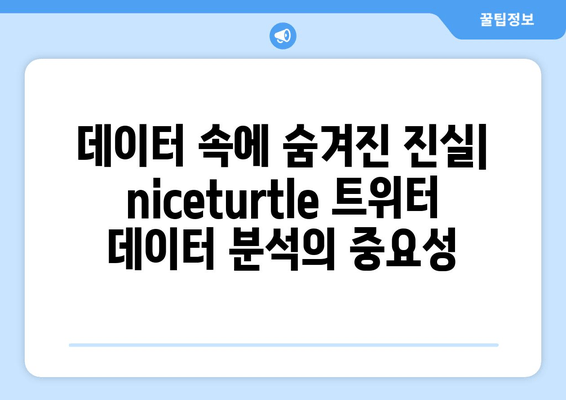 niceturtle 트위터의 그림자| 숨겨진 트렌드 분석 | 인플루언서 네트워크, 잠재적 영향력, 마케팅 전략