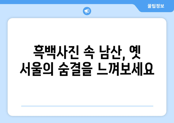 남산의 옛 모습을 담은 사진 속 시간 여행 | 추억과 역사가 살아 숨 쉬는 남산 사진 이야기