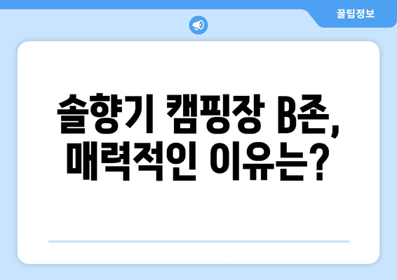 솔향기 캠핑장 B존 완벽 가이드| 시설부터 꿀팁까지 | 캠핑장 추천, B존 정보, 솔향기 캠핑