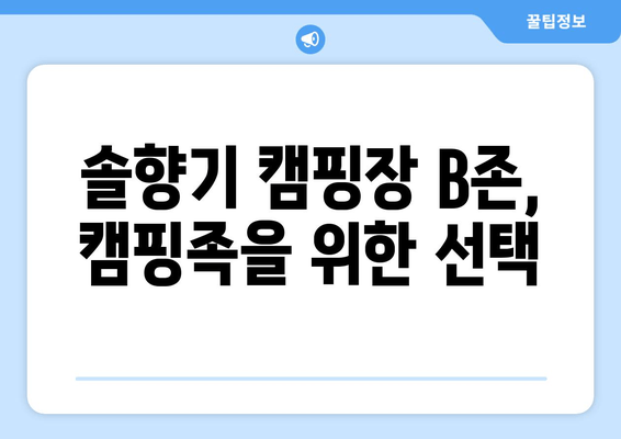 솔향기 캠핑장 B존 완벽 가이드| 시설부터 꿀팁까지 | 캠핑장 추천, B존 정보, 솔향기 캠핑