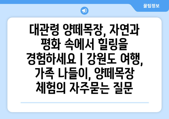 대관령 양떼목장, 자연과 평화 속에서 힐링을 경험하세요 | 강원도 여행, 가족 나들이, 양떼목장 체험