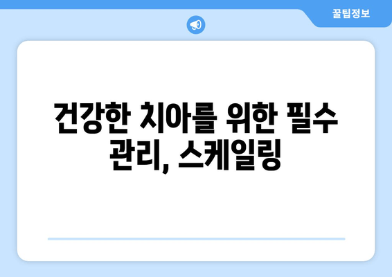 잇몸 건강 지키는 필수템! 스케일링의 중요성 | 잇몸 치료, 치주 질환 예방, 건강 관리