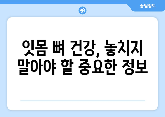 잇몸 뼈 건강 지키는 영양제와 식단 가이드 | 잇몸 건강, 영양, 식단, 뼈 건강, 건강 관리