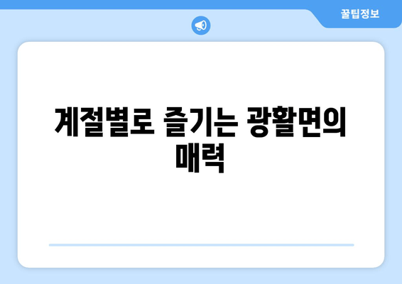 계절별로 즐기는 광활면의 매력