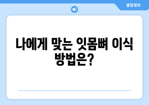 잇몸 뼈 이식 수술, 치조골 상태에 맞는 최적의 방법 찾기 | 잇몸뼈 이식, 치조골 흡수, 임플란트