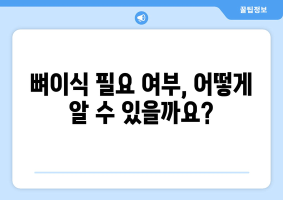 임플란트 뼈이식 가격| 잇몸뼈 상태 진단 & 비용 예측 가이드 | 임플란트, 뼈이식, 잇몸뼈, 가격, 비용, 진단