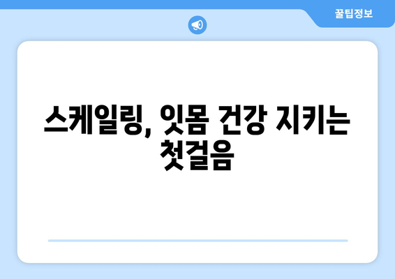 잇몸 건강 지키는 스케일링, 왜 중요할까요? | 인천 서울365치과, 잇몸 관리의 모든 것