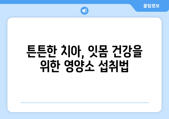 치아와 잇몸 건강 지키는 최고의 영양제 & 관리법| 건강한 미소를 위한 완벽 가이드 | 치아 건강, 잇몸 건강, 영양제, 관리법, 팁