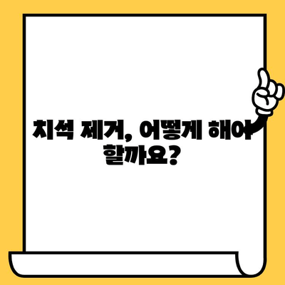 치석 제거| 건강한 구강을 위한 여정 | 치석 제거 방법, 치석 예방, 치과 상담, 구강 관리 팁