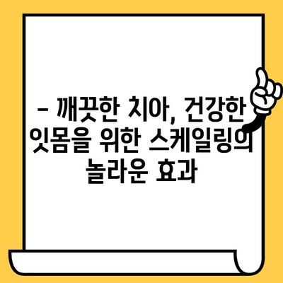 성남 치아 건강 지키는 비결| 정기적인 스케일링의 중요성 | 스케일링, 치과, 구강 건강, 성남치과의원