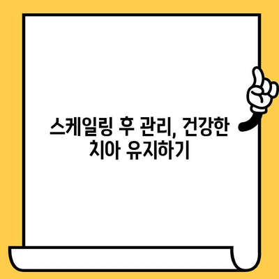 성남치과의원| 정기 스케일링으로 건강한 치아 지키기 | 구강 관리, 치주 질환 예방, 스케일링 효과