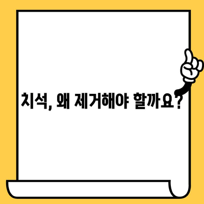 치석 제거| 건강한 치아를 위한 필수 가이드 | 치아 건강, 구강 관리, 치석 제거 방법