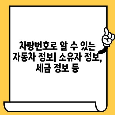 차량 정보 파악의 시작| 차대번호와 차량번호 완벽 이해하기 | 자동차 정보, 차량 조회, 차량 관리