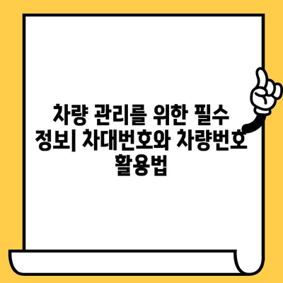 차량 정보 파악의 시작| 차대번호와 차량번호 완벽 이해하기 | 자동차 정보, 차량 조회, 차량 관리