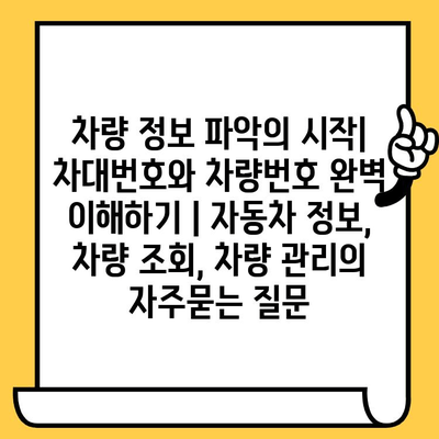 차량 정보 파악의 시작| 차대번호와 차량번호 완벽 이해하기 | 자동차 정보, 차량 조회, 차량 관리