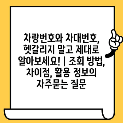 차량번호와 차대번호, 헷갈리지 말고 제대로 알아보세요! | 조회 방법, 차이점, 활용 정보