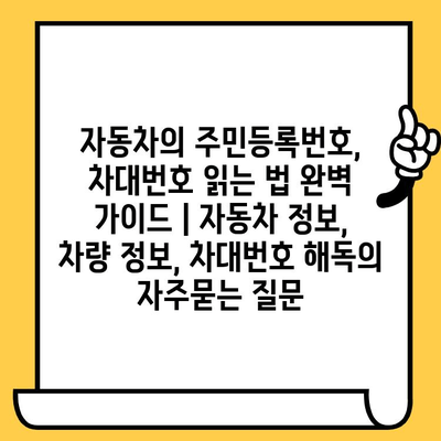 자동차의 주민등록번호, 차대번호 읽는 법 완벽 가이드 | 자동차 정보, 차량 정보, 차대번호 해독