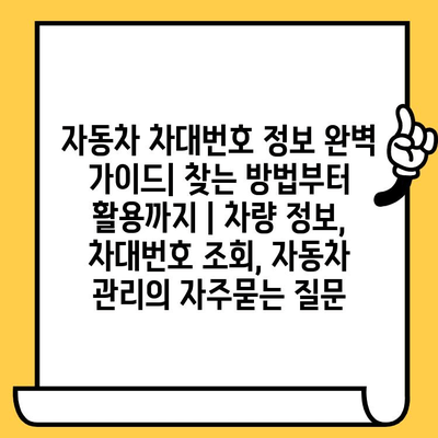 자동차 차대번호 정보 완벽 가이드| 찾는 방법부터 활용까지 | 차량 정보, 차대번호 조회, 자동차 관리