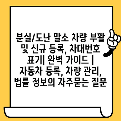 분실/도난 말소 차량 부활 및 신규 등록, 차대번호 표기| 완벽 가이드 | 자동차 등록, 차량 관리, 법률 정보