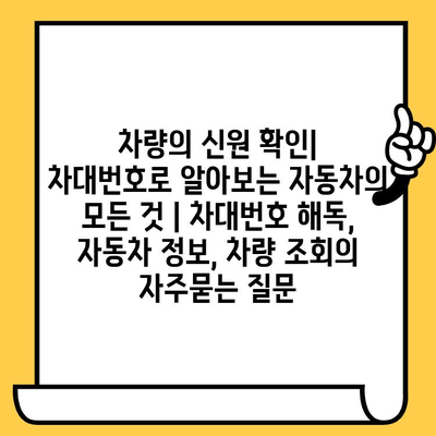 차량의 신원 확인| 차대번호로 알아보는 자동차의 모든 것 | 차대번호 해독, 자동차 정보, 차량 조회