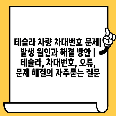 테슬라 차량 차대번호 문제| 발생 원인과 해결 방안 | 테슬라, 차대번호, 오류, 문제 해결