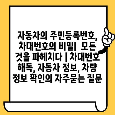 자동차의 주민등록번호, 차대번호의 비밀|  모든 것을 파헤치다 | 차대번호 해독, 자동차 정보, 차량 정보 확인