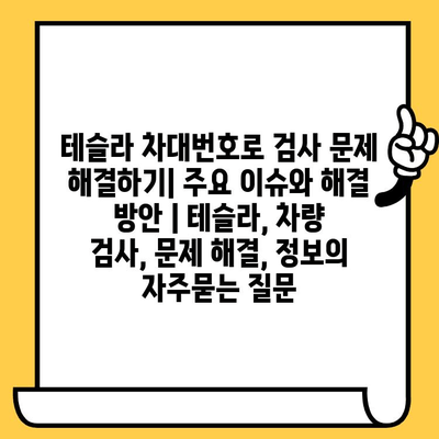 테슬라 차대번호로 검사 문제 해결하기| 주요 이슈와 해결 방안 | 테슬라, 차량 검사, 문제 해결, 정보